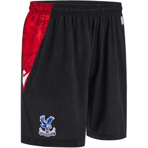 Korte derde Crystal Palace 2024/25