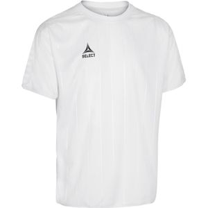 Jersey Select Argentina