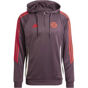 Hoodie Bayern Munich Tiro 2024/25