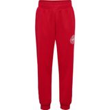 Kinder joggingbroek Hummel DBU