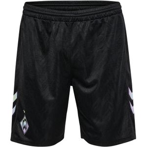 Korte Derde Werder Bremen 2024/25