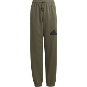 Kinderen joggingbroek adidas Future Icons Logo