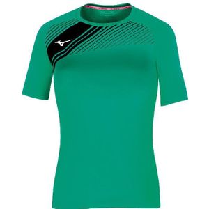 Damestrui Mizuno Team Iwata Game