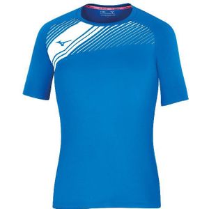 Damestrui Mizuno Team Iwata Game