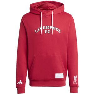 Liverpool FC sweatshirt met capuchon US 2025/26