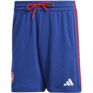 Korte Arsenal DNA 2025/26