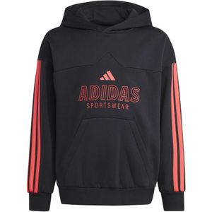 adidas - House Of Tiro - Hoodie - Junior