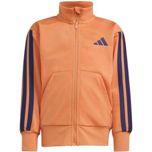 Kinder trainingspak adidas Essentials Climacool
