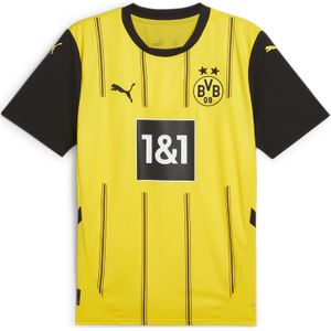 Voetbalshirt Borussia Dortmund 2024/25