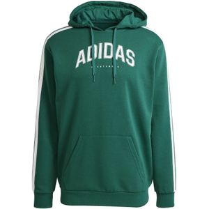 Collegiate Green - Hoodie - Katoen/Polyester - Regular Fit