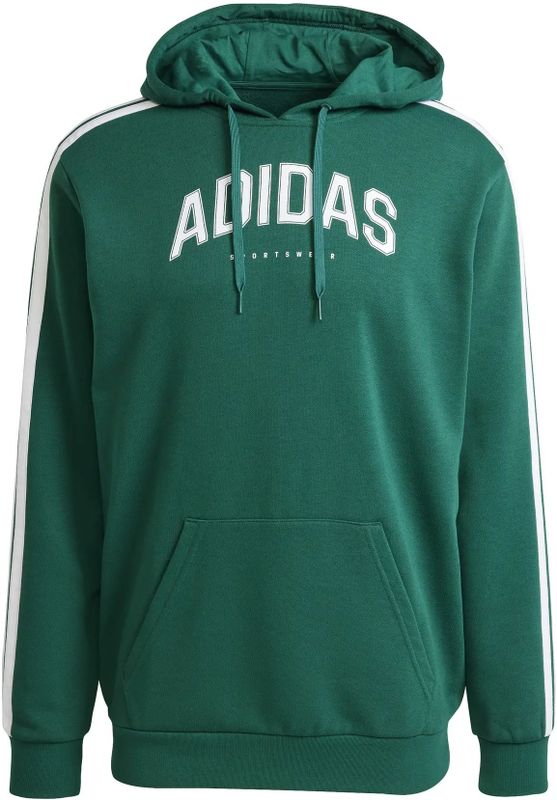Collegiate Green - Hoodie - Katoen/Polyester - Regular Fit