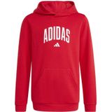 Junior Hoodie adidas Codes Collegiate Graphic