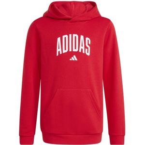 Junior Hoodie adidas Codes Collegiate Graphic