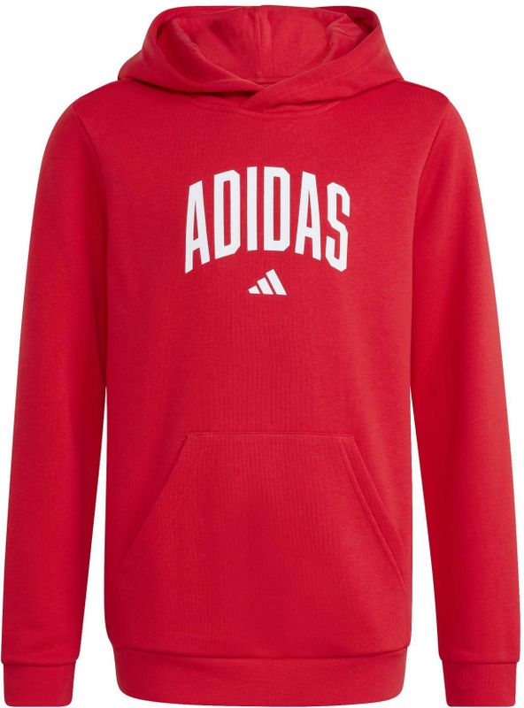 Junior Hoodie adidas Codes Collegiate Graphic