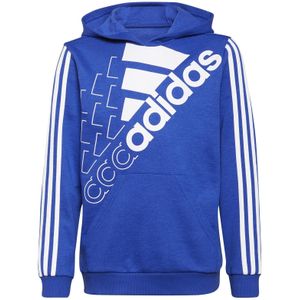 Kinder hoodie adidas Essentials Logo