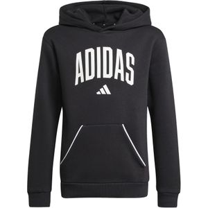 Junior Hoodie adidas Essentials Collegiate Typography