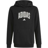 Junior Hoodie adidas Codes Collegiate Graphic