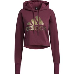 adidas - Holiday Graphic - Hoodie - Grijs - Katoen