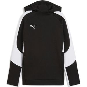 Junior Sweatshirt Puma Evostripe
