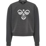 Hummel Sweatshirt - Bijgesneden - hmlCinco - Grijs - Hummel - 4 jaar (104) - Sweatshirt