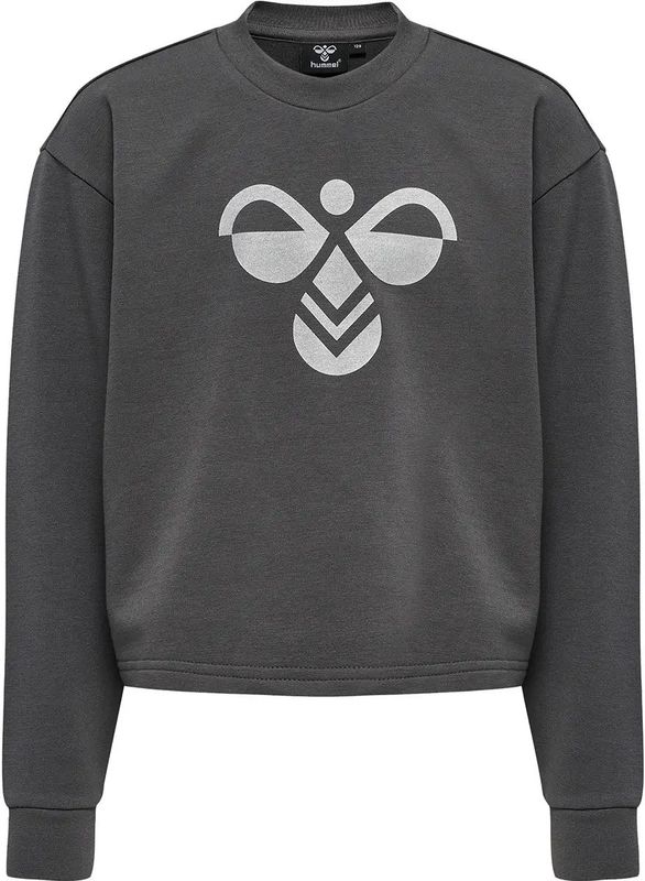 Hummel Sweatshirt - Bijgesneden - hmlCinco - Grijs - Hummel - 4 jaar (104) - Sweatshirt