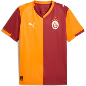 Thuis Shirt zonder Sponsor Galatasaray 2025/26
