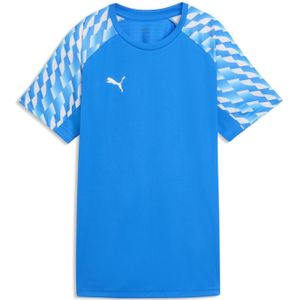 Damestrui Puma Liga26