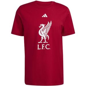 Liverpool T-shirt DNA Liverpool FC FC Graphic