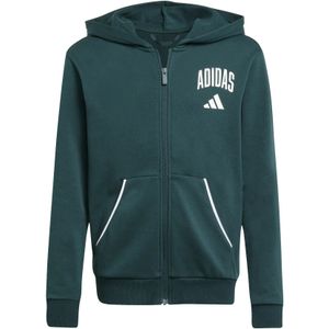 adidas - Essentials Collegiate Typography - Kindercapuchon - Zacht Fleece
