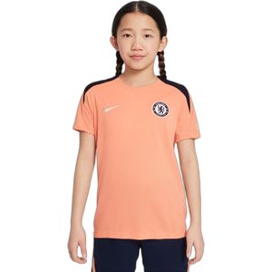 Nike - Chelsea Dri-FIT Strike - T-shirt - Blauw - Dri-FIT Technologie