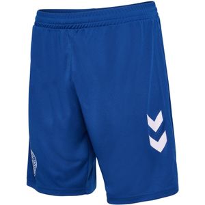 Scheenbroek van de Deense doelman 2024