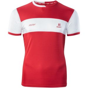 Polen voetbalshirt Alumni