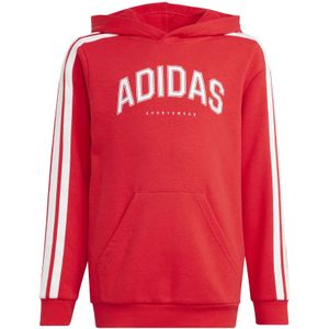 adidas - Codes Collegiate Graphic - Junior Hoodie