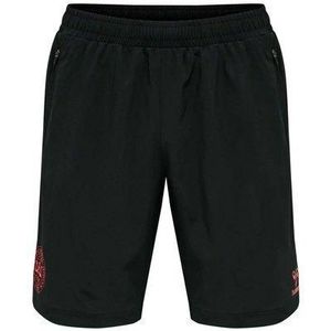 Short Danemark travel