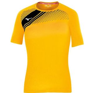 Damestrui Mizuno Team Iwata Game