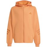 Kindercapuchon adidas Future Icons 3-Stripes