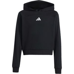 Girl hoodie adidas Holiday Glam
