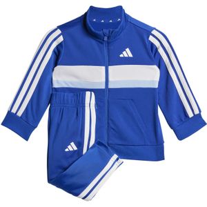 Trainingspak - Royal Blue/Glow Blue/White - 100% Polyester - Regular Fit