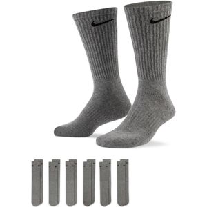 Paar sokken Nike Everyday Cushioned (x6)