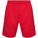 Hummel - DBU 2022/23 - Korte Broek - Voor Kinderen