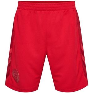 Hummel - DBU 2022/23 - Korte Broek - Voor Kinderen