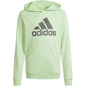 Adidas Sportswear French Terry Hoodie Lichtgroen/Grijs