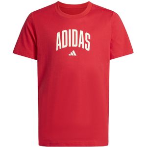 Kinder-T-shirt adidas Collegiate Graphic