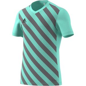 Jersey adidas Entrada 22 Graphic