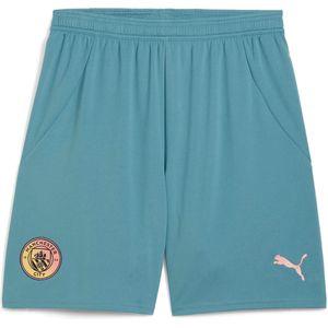 Kort Manchester City 2024/25