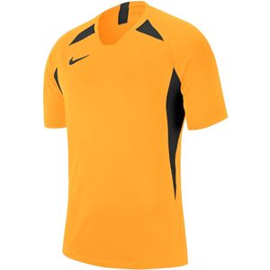 Kindertrui Nike Dri-FIT Striker V