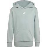 Essentials kinder hoodie adidas