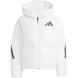 adidas - Z.N.E. Climawarm - Donsjack - Dames - Waterdicht - Glanzende Stof