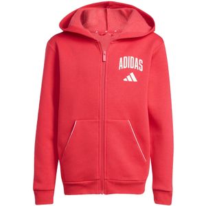 Junior Hoodie adidas Collegiate Typography