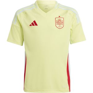 Voetbalshirt voor kinderen Spanje Euro 2024